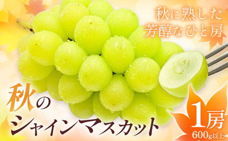 岡山県産 秋 の シャインマスカット 1房(600g以上) 環山堂株式会社《9月上旬-10月上旬頃出荷》岡山県 浅口市 ぶどう ブドウ 葡萄 果物 フルーツ 送料無料