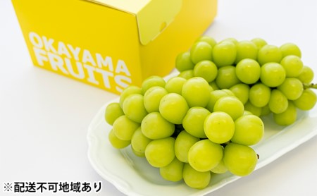 ご家庭用 岡山県産 シャインマスカット 2~3房(約1.2kg)【配達不可:離島】