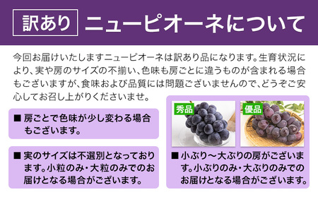 訳あり ニューピオーネ 約1.2kg 2房 《2024年9月中旬から11月上旬に