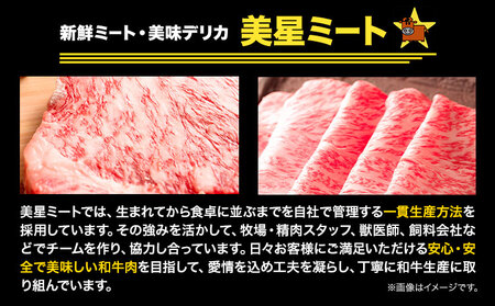 牛肉 ステーキ 肉 美星牛 食べ比べセット 1kg 美星ミート《30日以内に発送予定(土日祝除く)》岡山県 浅口市 ステーキ肉 牛肉 牛 厳選 霜降り 冷凍 食べ比べ セット 送料無料