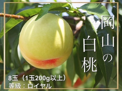 Fg-2　【令和8年発送・先行予約】岡山県産　白桃（1玉200g以上）8玉　等級：ロイヤル　化粧箱入り