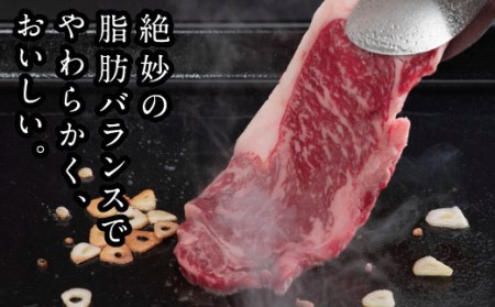 BS-1　牛肉　清麻呂牛ロースステーキセット540g(180g×3枚）