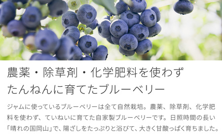 ZZ-17　果実たっぷり自然農法のブルーベリージャム　400g×3