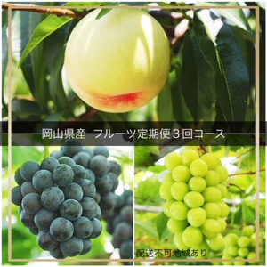 IT-2【令和8年発送・先行予約】フルーツ定期便3回コース