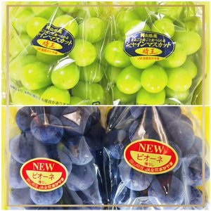 IT-2【令和8年発送・先行予約】フルーツ定期便3回コース