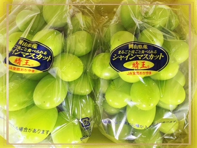 NN-36　【令和8年発送・先行予約】シャインマスカット『晴王』全3回　シャインマスカット（晴王・1房600ｇ以上）2房　化粧箱入り