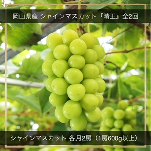 HH-15　【令和8年発送・先行予約】シャインマスカット『晴王』全2回　シャインマスカット（晴王・1房600ｇ以上）2房　化粧箱入り