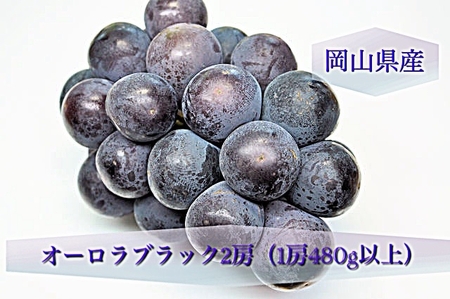 BS-20 【令和8年発送・先行予約】岡山県産 オーロラブラック2房(1房480g以上)化粧箱入り