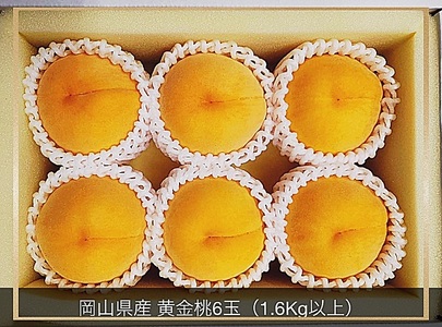 Cz-11　【令和8年発送・先行予約】岡山県産 黄金桃 6玉（合計1.6kg以上）化粧箱入り