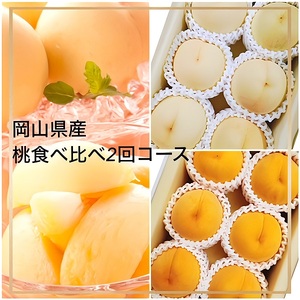 Fg-8【令和8年発送・先行予約】岡山県産 桃食べ比べ全2回コース