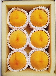 Fg-8【令和8年発送・先行予約】岡山県産 桃食べ比べ全2回コース