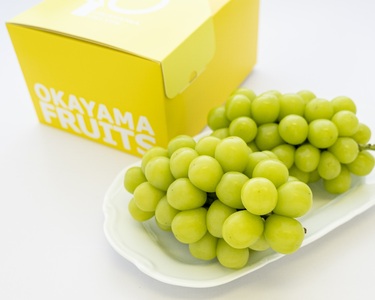 BS-23【令和8年発送】ご家庭用岡山県産シャインマスカット