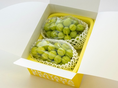 BS-23【令和8年発送】ご家庭用岡山県産シャインマスカット