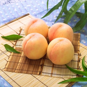 環-4【先行予約】岡山県産　岡山白桃　4〜5玉（約1.0kg）