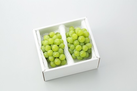 環-10【先行予約】岡山県産 秋のマスカット・オブ・アレキサンドリア(約1.0kg)