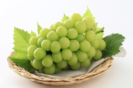 環-11【先行予約】岡山県産　秋のシャインマスカット「晴王」1房（約700g） 6,660円