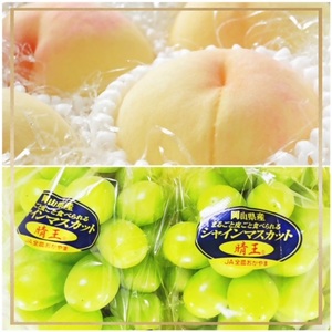 KK-6【令和8年発送・先行予約】岡山県産　晴れの国岡山フルーツ7月8月9月10月11月12月定期便6回　化粧箱入りA