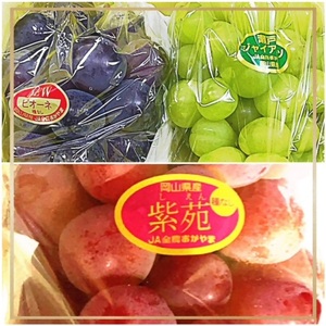 KK-6【令和8年発送・先行予約】岡山県産　晴れの国岡山フルーツ7月8月9月10月11月12月定期便6回　化粧箱入りA