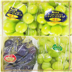 JZ-1【令和8年発送・先行予約】フルーツ定期便5回コースB