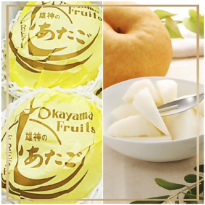 JZ-1【令和8年発送・先行予約】フルーツ定期便5回コースB