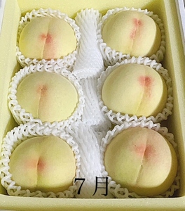 GH-6【令和8年発送・先行予約】岡山県産 晴れの国岡山フルーツ7月9月11月定期便3回 化粧箱入り