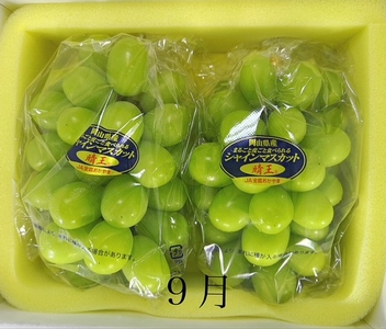 GH-6【令和8年発送・先行予約】岡山県産 晴れの国岡山フルーツ7月9月11月定期便3回 化粧箱入り