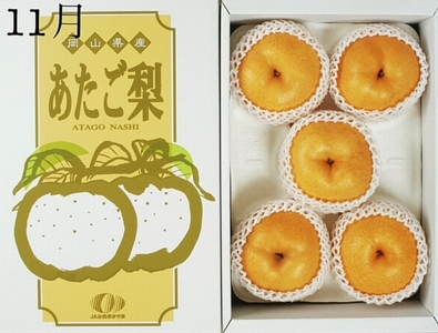 GH-6【令和8年発送・先行予約】岡山県産 晴れの国岡山フルーツ7月9月11月定期便3回 化粧箱入り