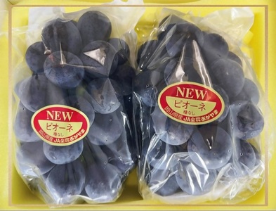 vv-109【令和8年発送・先行予約】フルーツ定期便　全3回コースA