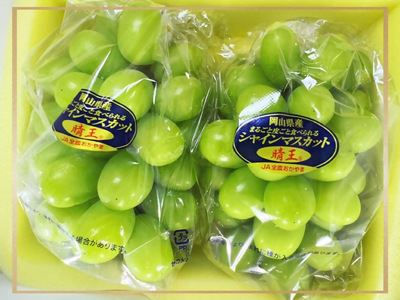 vv-109【令和8年発送・先行予約】フルーツ定期便　全3回コースA