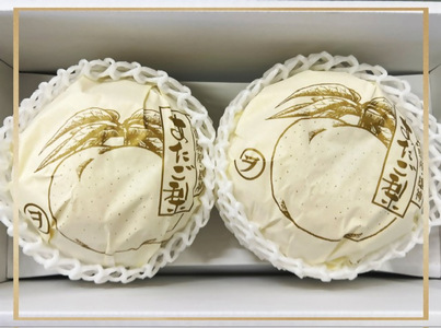 vv-110【令和8年発送・先行予約】フルーツ定期便 全3回コースB