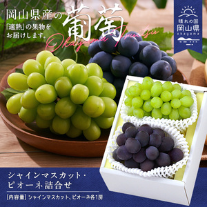 CS-13【令和8年発送】シャインマスカット・ピオーネ詰合せ