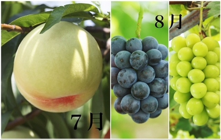 dh-1【令和8年発送・先行予約】岡山県産　晴れの国岡山フルーツ7月8月9月10月11月12月定期便6回　化粧箱入りB