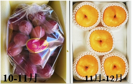 dh-1【令和8年発送・先行予約】岡山県産　晴れの国岡山フルーツ7月8月9月10月11月12月定期便6回　化粧箱入りB