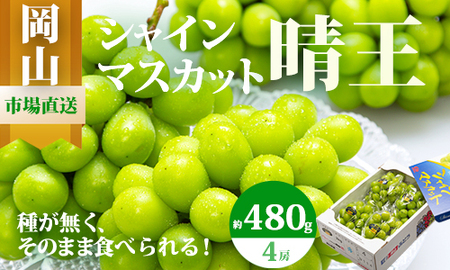 XX-3【令和8年発送・先行予約】岡山県産　シャインマスカット（1房480g以上・約2kg・晴王）4房