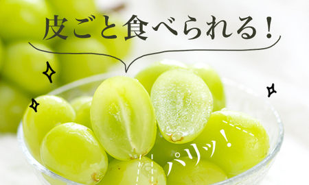 XX-3【令和8年発送・先行予約】岡山県産　シャインマスカット（1房480g以上・約2kg・晴王）4房