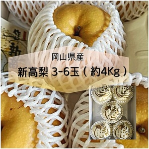 aa-107【令和8年発送・先行予約】岡山県産 新高梨 3-6玉（約4kg） 化粧箱入り
