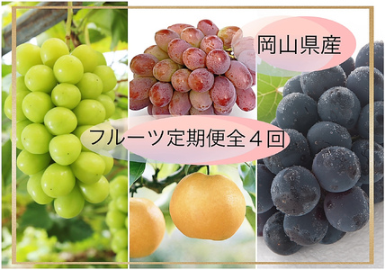 vz-1【令和8年発送・先行予約】フルーツ定期便全4回