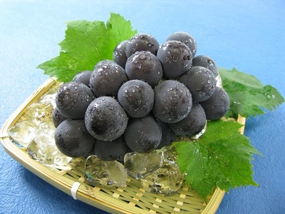 環-9【先行予約】岡山県産　秋のニューピオーネ（約600g）