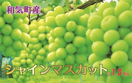 AC-4 シャインマスカットぶどう (2房)