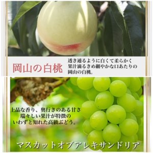 Te-1　【令和６年発送・先行予約】岡山県産　果物と新米の定期便　全６回コースA