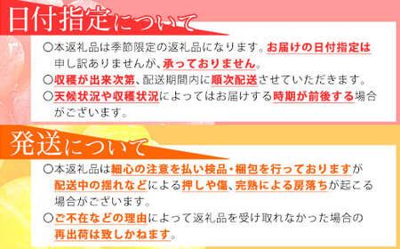 【2025年先行予約】岡山県産 シャインマスカット 約2kg(3房~5房) 家庭用 訳あり /9月下旬~10月上旬 受付順に発送予定