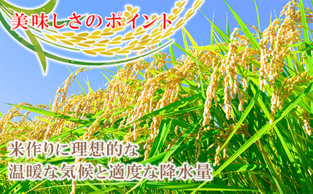 令和7年産 岡山県産米「あけぼの」 10kg(5kg×2袋) 2026年8月発送