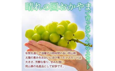 岡山県産　シャインマスカット「晴王」約１.２ｋｇ(１房６００ｇ以上）２房入り（ハックルベリーフィン）