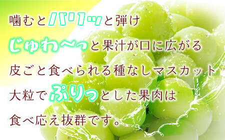 岡山県産　シャインマスカット「晴王」約１.２ｋｇ(１房６００ｇ以上）２房入り（ハックルベリーフィン）