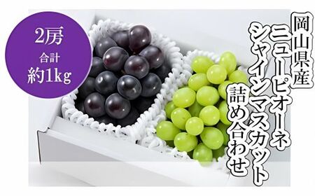 岡山県産　ニューピオーネ１房・シャインマスカット１房詰合せ（ハックルベリーフィン）