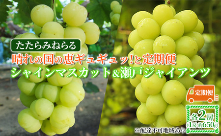 【2025年先行予約】 ぶどう 岡山県産 たたらみねらる 晴れの国の恵ギュギュッ！と 定期便 シャインマスカット & 瀬戸ジャイアンツ 各2房(1房約650g)《2025年9月上旬-10月中旬出荷》 葡萄 数量限定 岡山 里庄町