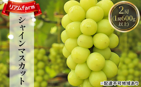【2026年先行予約】 ぶどう 岡山県産 シャインマスカット 2房（1房600g以上） 《2026年7月下旬-8月下旬頃出荷》 葡萄 ブドウ フルーツ 果物 スイーツ 数量限定 期間限定 里庄町 リアム farm