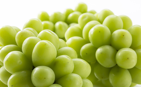 【定期便】【2026年先行予約】 ぶどう 岡山県産 シャインマスカット 1kg箱（各2～3房） 定期便 3回 《2026年10月中旬-12月上旬頃出荷》 葡萄 ブドウ 岡山県産 フルーツ 果物 数量限定