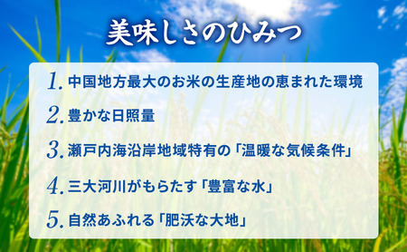 無洗米 こしひかり 10kg (5kg×2袋) 岡山 米 白米 お米