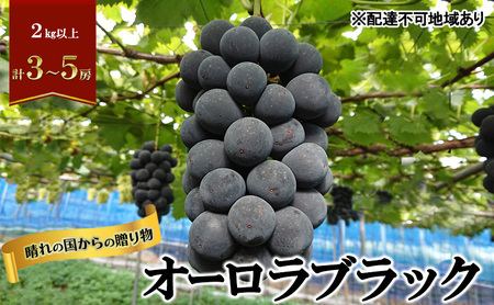 【2026年先行予約】 ぶどう 岡山県産 晴れの国からの 贈り物 オーロラブラック 2kg以上（3房～5房） 《2026年8月下旬-9月中旬出荷》 葡萄 フルーツ 果物 スイーツ 数量限定 期間限定 岡山 里庄町